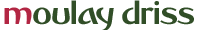 moulaydriss-logo